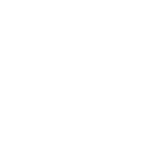 Veenhoop Festival